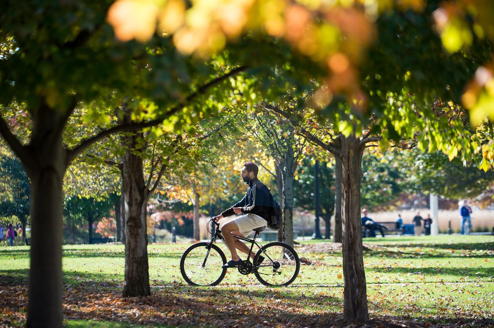 下面是秋天的树和草，一个人骑着自行车穿过画面的中心